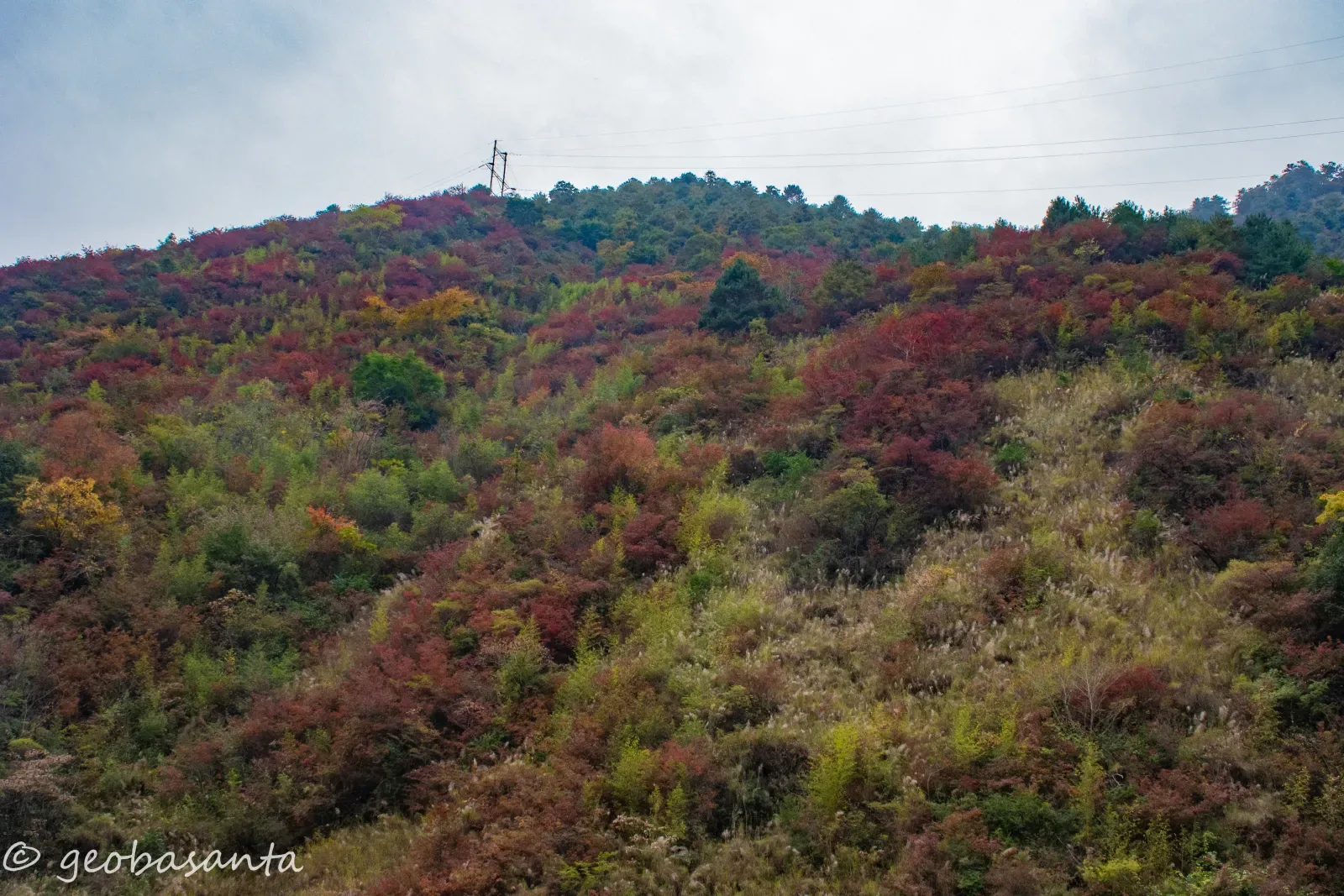 Visual Risk Communication and Outreach Documentation